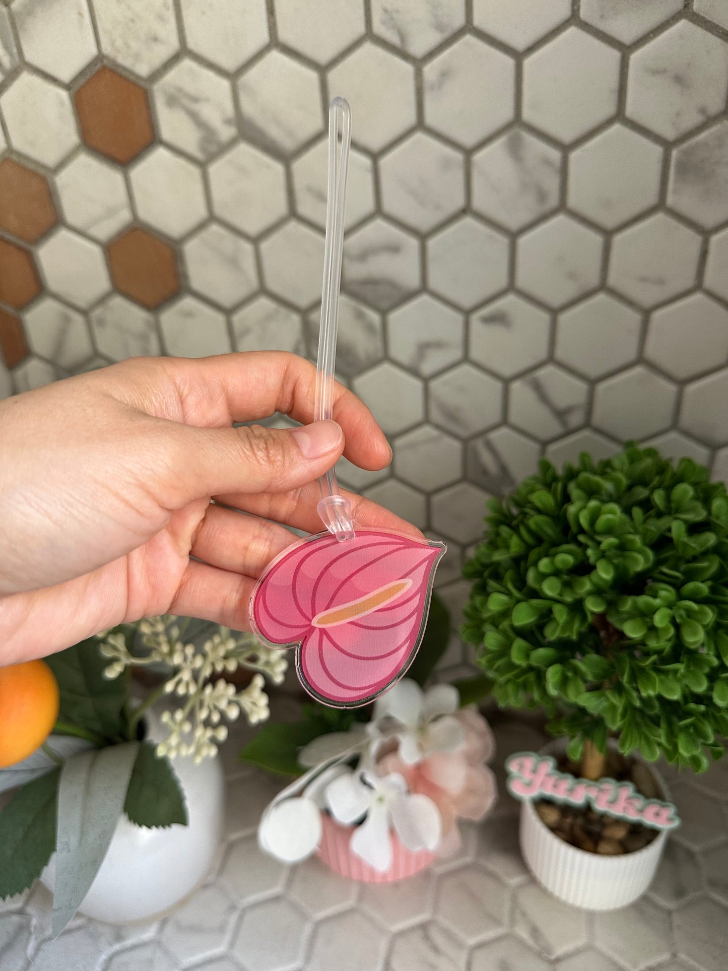 Flats-Anthurium