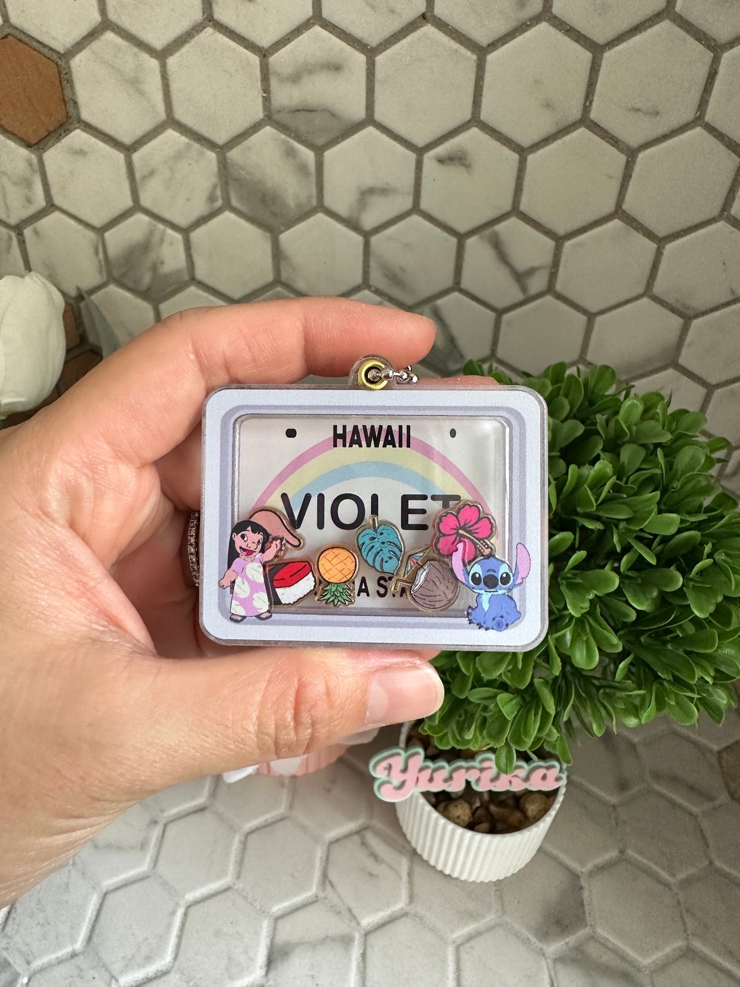 Dry Shaker: License Plate--Hawaii (WITH Character Border)