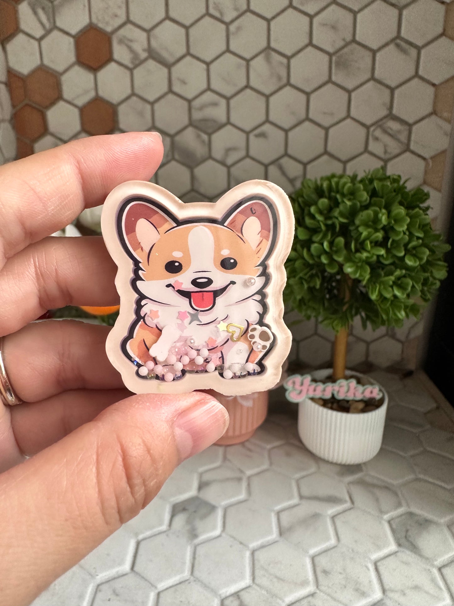 Liquid Shaker: Corgi