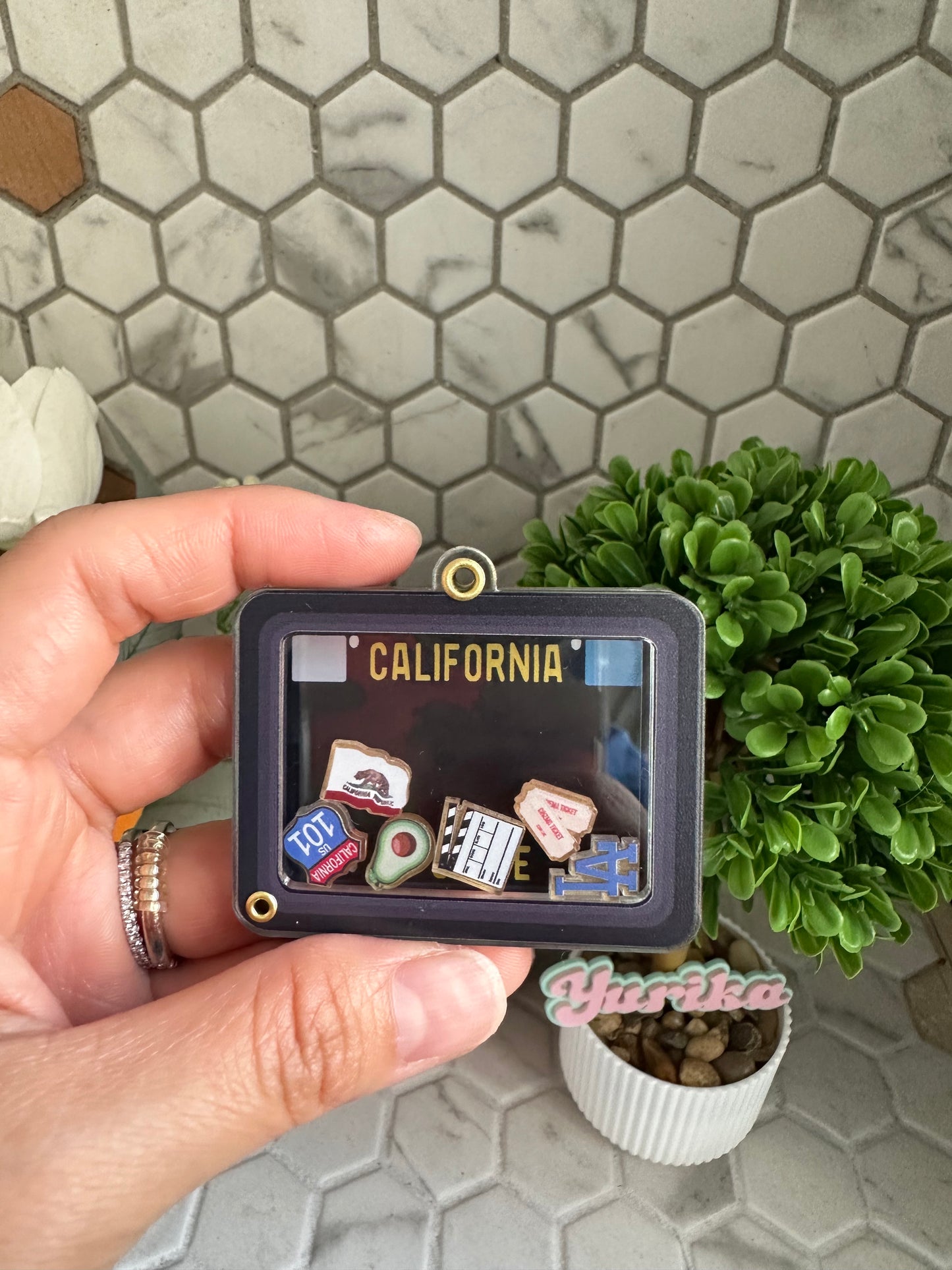 Dry Shaker: License Plate--LA