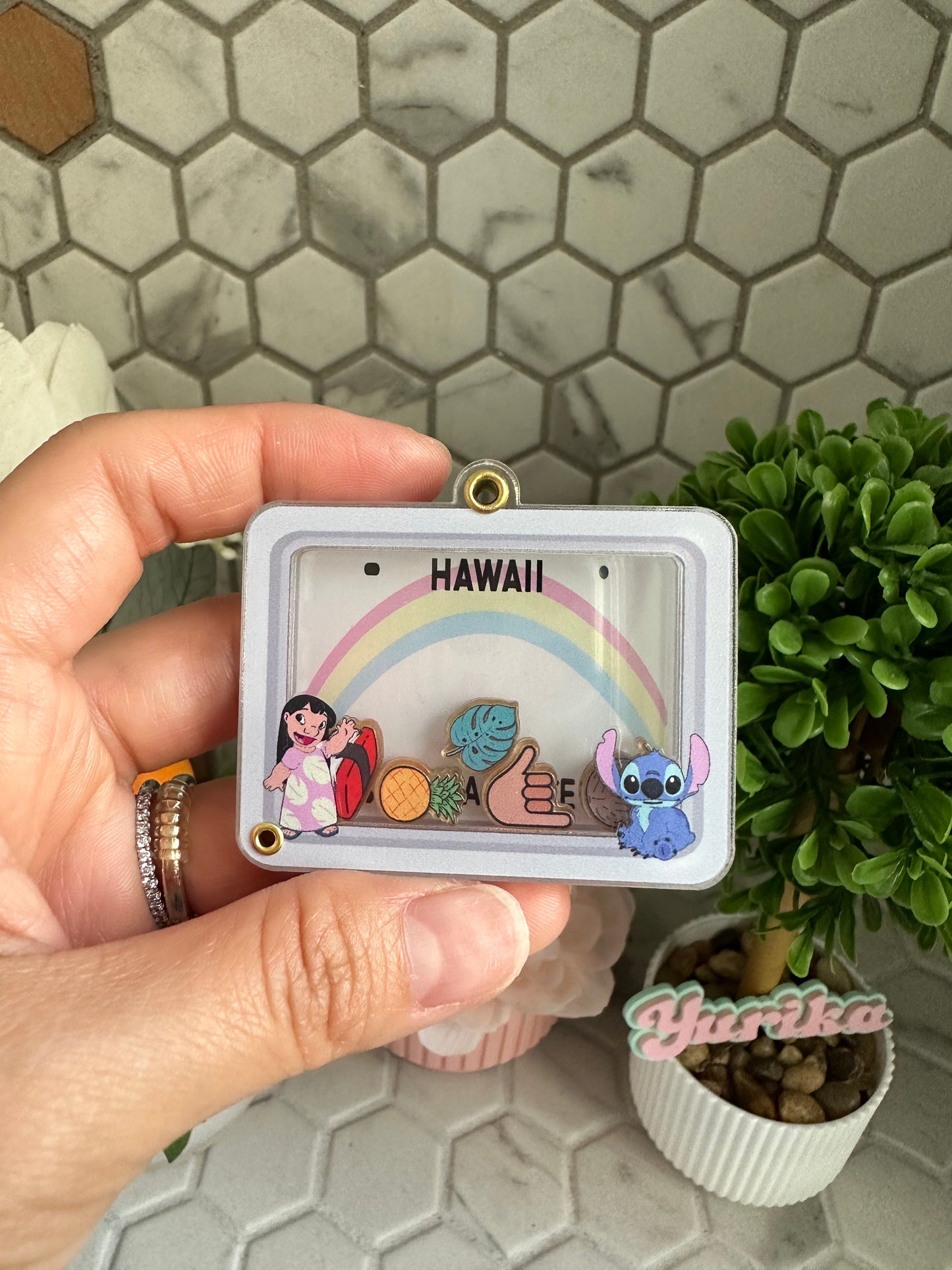 Dry Shaker: License Plate--Hawaii (WITH Character Border)