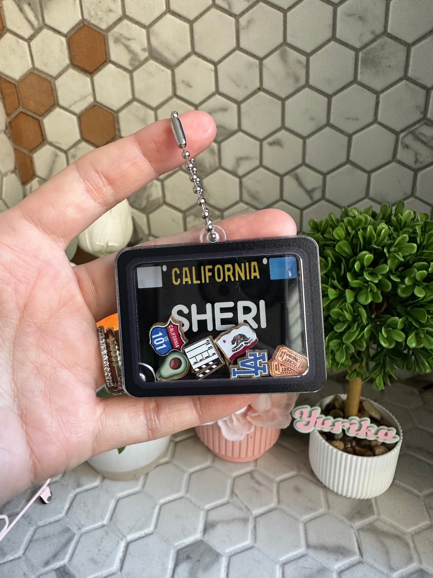 Dry Shaker: License Plate--LA