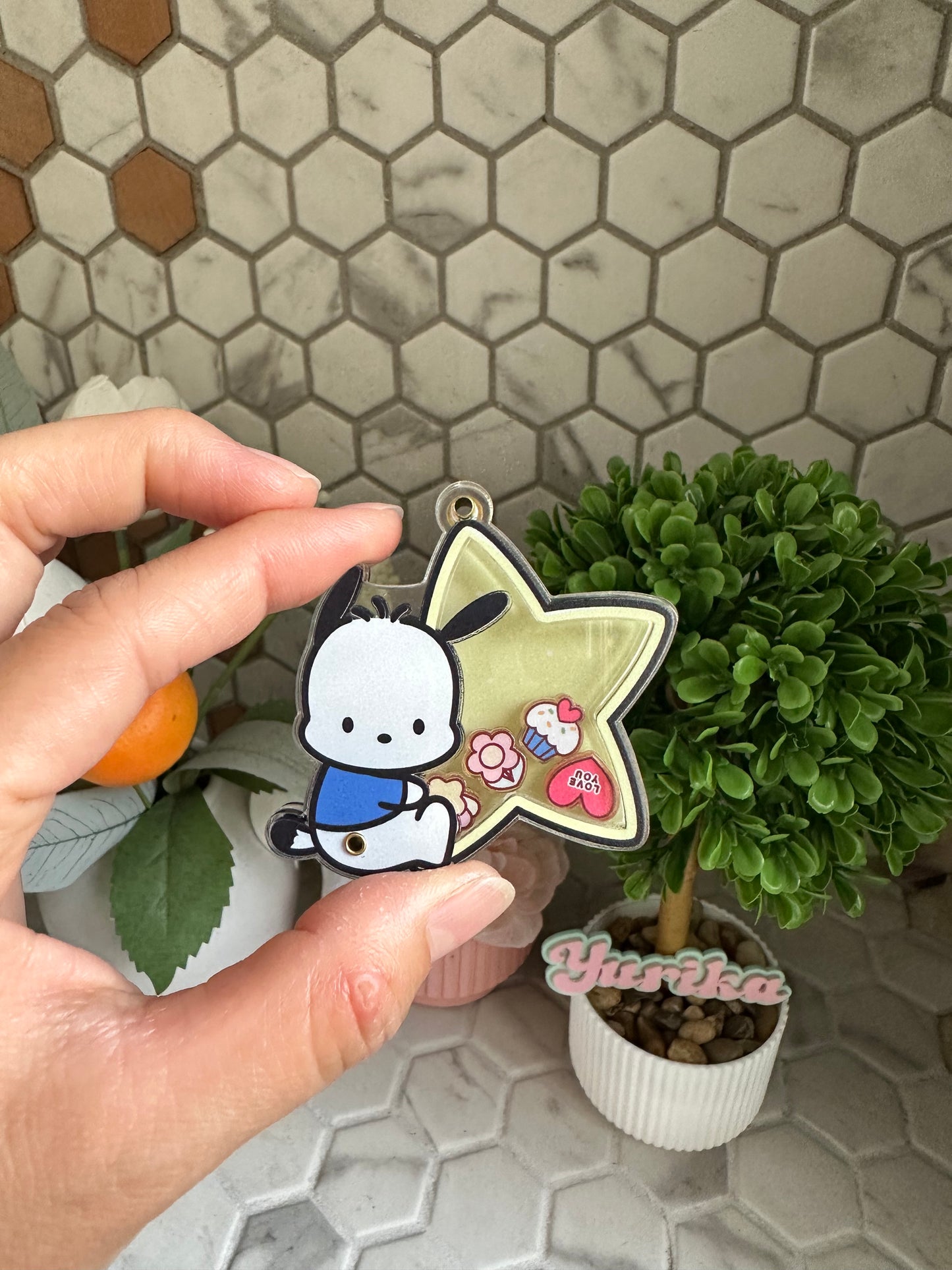 Dry Shaker: Star Series