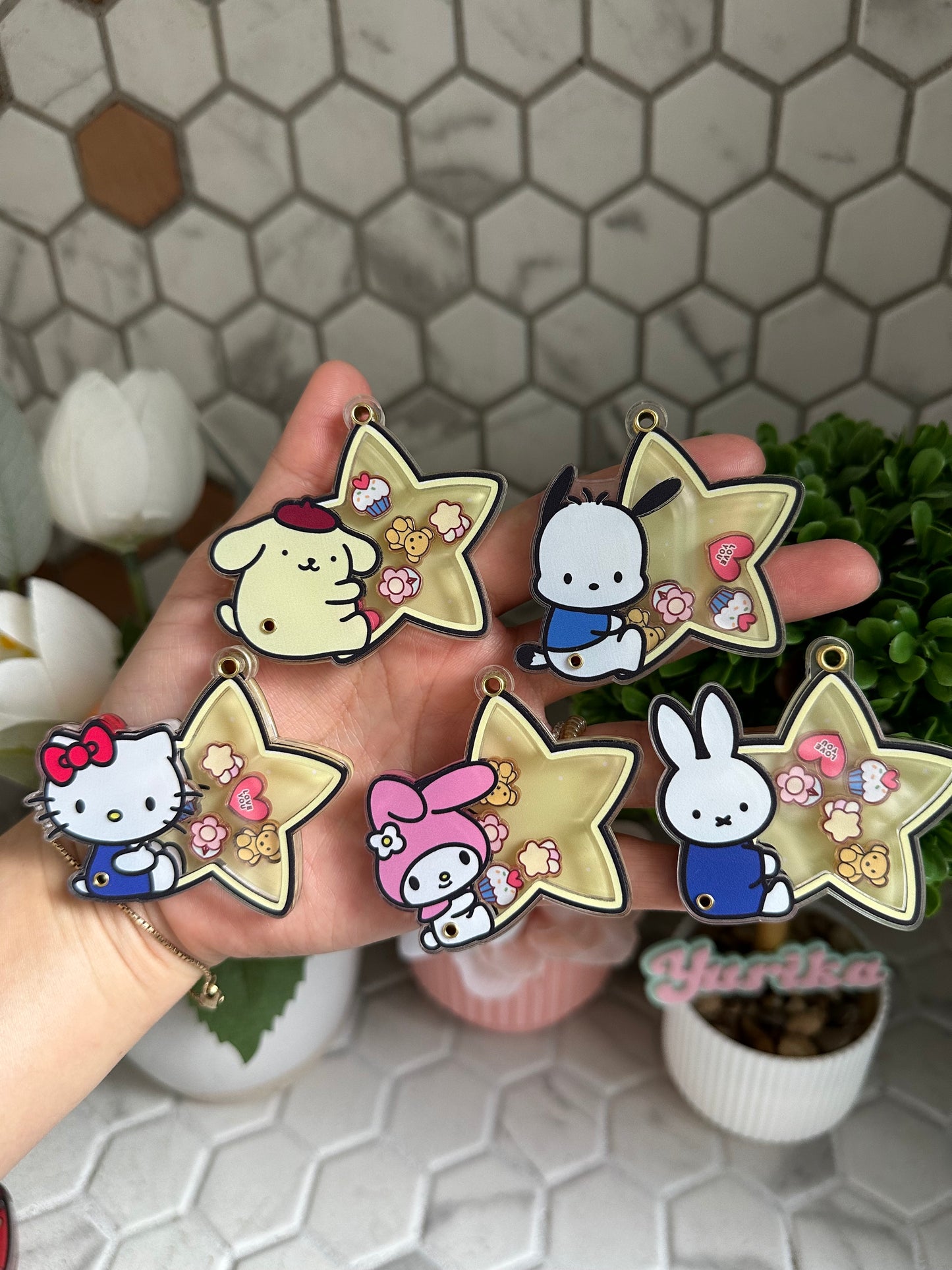 Dry Shaker: Star Series