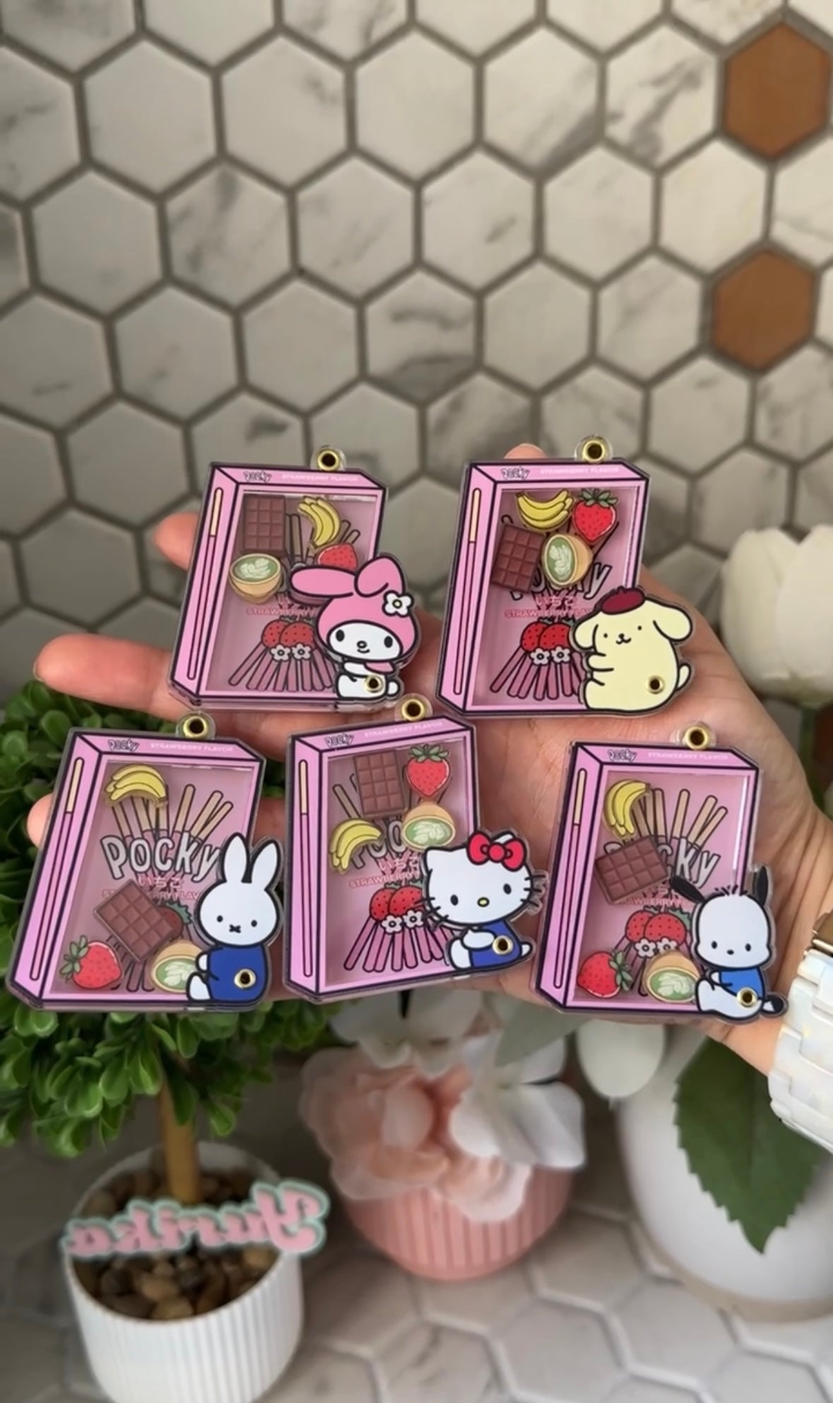 Dry Shaker: Pocky Series